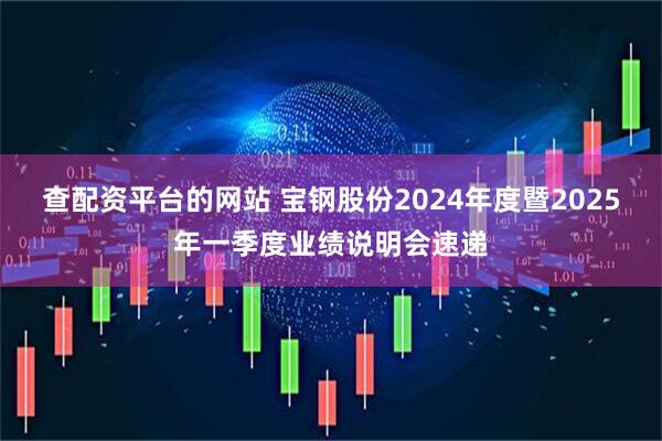 查配资平台的网站 宝钢股份2024年度暨2025年一季度业绩说明会速递